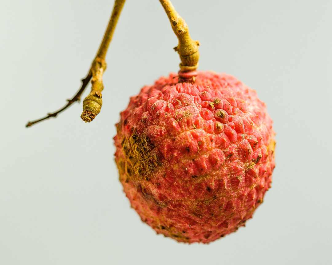 A close-up of a single lychee fruit & Naked Goat's Oil to Milk Body Cleanser