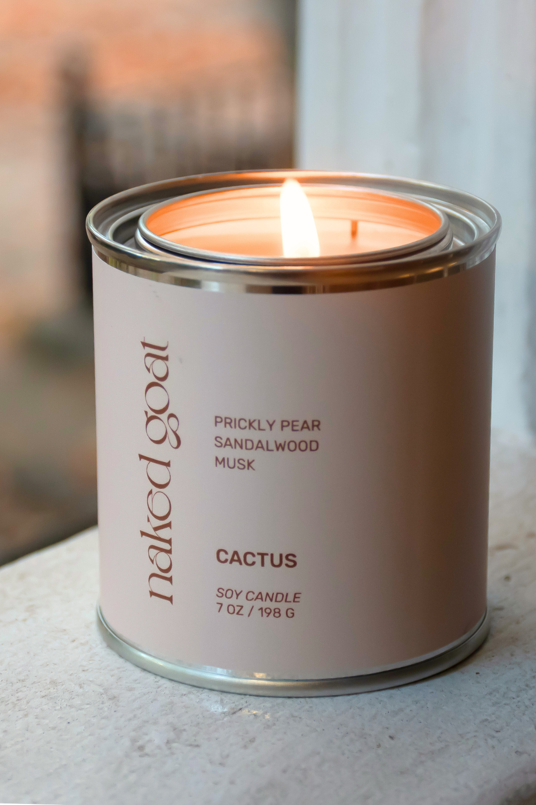 NEW | Cactus Soy Candle (7oz)